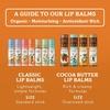 image:imageBadger Classic Organic Lip Balm Set  Green Box Long Lasting Lip Moisturizer Gift Set Light Silky Texture All Natural Lip Balm Variety Pack LipSet Unscented Tea Tree Mint amp Tangerine 4 packTangerine Breeze