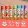 image:imageBadger Classic Organic Lip Balm Set  Green Box Long Lasting Lip Moisturizer Gift Set Light Silky Texture All Natural Lip Balm Variety Pack LipSet Unscented Tea Tree Mint amp Tangerine 4 packPink Grapefruit