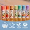 image:imageBadger Classic Organic Lip Balm Set  Green Box Long Lasting Lip Moisturizer Gift Set Light Silky Texture All Natural Lip Balm Variety Pack LipSet Unscented Tea Tree Mint amp Tangerine 4 packGreen Box