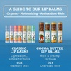 image:imageBadger Classic Organic Lip Balm Set  Green Box Long Lasting Lip Moisturizer Gift Set Light Silky Texture All Natural Lip Balm Variety Pack LipSet Unscented Tea Tree Mint amp Tangerine 4 packGreen Box