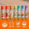 image:imageBadger Classic Organic Lip Balm Set  Green Box Long Lasting Lip Moisturizer Gift Set Light Silky Texture All Natural Lip Balm Variety Pack LipSet Unscented Tea Tree Mint amp Tangerine 4 packTangerine Breeze