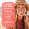 image:imageBadger Classic Organic Lip Balm Set  Yellow Box Light Silky Long Lasting Lip Moisturizer Gift Set All Natural Lip Balm Variety Pack Lip Set Tangerine Lavender Orange Vanilla Grapefruit 4 packPink Grapefruit