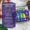 image:imageBadger Headache Soother 100 Organic Essential Oil Aromatherapy AllNatural Headache Relief wPeppermint Eucalyptus amp Lavender 6 ozVariety Pack