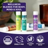 image:imageBadger Headache Soother 100 Organic Essential Oil Aromatherapy AllNatural Headache Relief wPeppermint Eucalyptus amp Lavender 6 ozVariety Pack