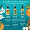 image:imageBadger Organic Jojoba Hair Oil amp Dry Scalp Treatment Soothing amp Moisturizing Itchy Dry Scalp Oil Rosemary Hair Oil Organic Jojoba Oil Hair amp Scalp Moisturizer 2 fl oz Glass BottleArgan Oil