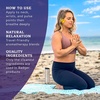 image:imageBadger Stress Soother Balm Organic Essential Oil Aromatherapy Calm amp Soothe the Mind Easy to Use Portable Stick Effective Self Care 6 ozVariety Pack