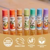 image:imageBadger Tea Tree Classic Lip Balm 100 Organic Lip Balm Moisturizing Herbal Lip Care wLight Silky Texture Soothing amp Refreshing Lip Care for Irritated or Chapped Lips 4 PackVanilla Madagascar
