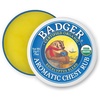 image:imageBadger Aromatic Chest Rub 100 Organic Vaporub wEucalyptus amp Lavender Essential Oils to Clear amp Soothe AllNatural Chest Congestion Relief for Adults amp Kids 75 oz Tin075 Ounce Pack of 1